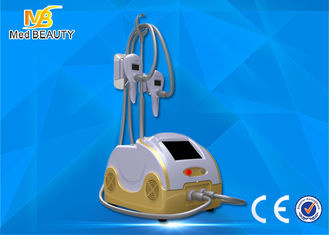 China Cryo Fat Dissolved Weight Loss Coolsculpting Cryolipolysis Machine supplier