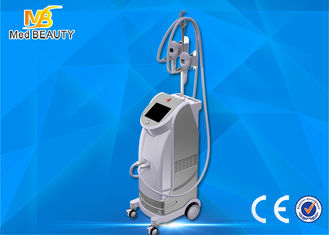 China Best seller vertical fat freezing cryolipolisis coolsculpting cryolipolysis machine supplier
