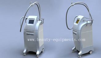 China 2012 Most Popular Cryolipolysis Fat Reduction Cryolipolysis Machines supplier