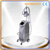 China Salon Cryolipolysis Fat Freeze Cryo Slimming Machine 20W Pulse factory